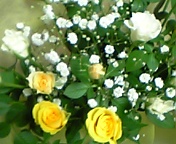 image008.jpg